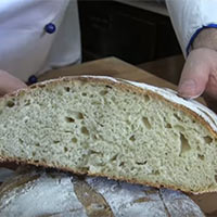 Pane Pugliese Con Lievito Madre Naturale Chef Stefano Barbato